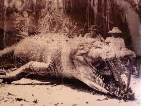謎写真 8 6mの巨大ワニ The Mystery Photograph Giant Crocodile Of The 8 6 M 13shoe 高野十座のブログ