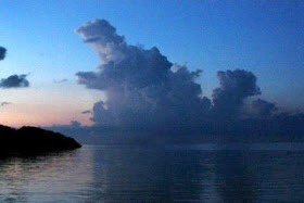 ゴジラが実在した Godzilla Was Real 13shoe 高野十座のブログ ゴジラが実在した Godzilla Was Real 13shoe 高野十座のブログ
