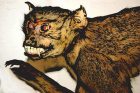悪魔の猿 Devil Monkey 13shoe 高野十座のブログ