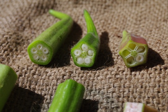 丸さやオクラの続き 子室 さやの中 も５室でした 野菜直売高梨農場農場通信ブログ版