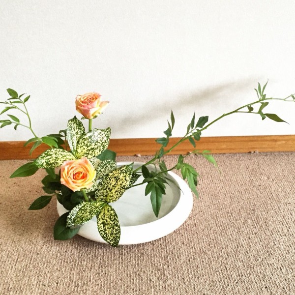 そけい バラ ゴットセフィアナ かたむけるかたち 一日一花