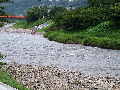 河津川の鮎 東伊豆 釣り情報の宿