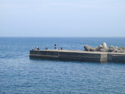 青物回遊 東伊豆 釣り情報の宿