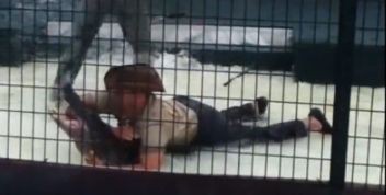 おわぁぁあ 腕がちぎれるぅう Un Idiot