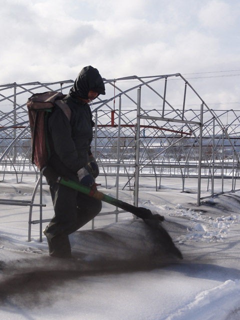 この時期よくみる融雪剤 どうやって雪を解かしているのか たかす地域情報
