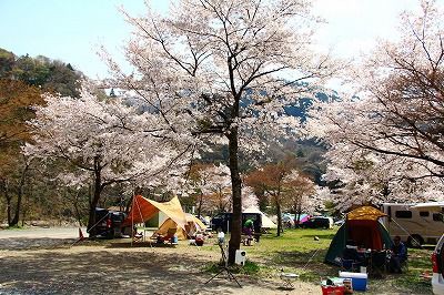 青根キャンプ場お花見キャンプの様子をチラ見してきました キャンプ場とキャンプ道具を狭く深く語るブログ 略して セマフカ