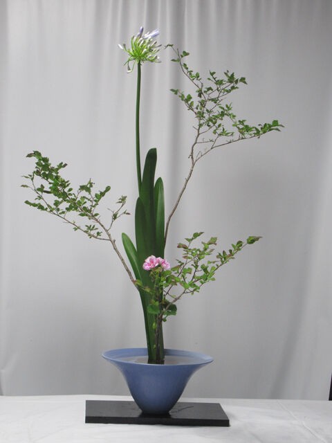 ナツハゼ アガバンサス ゼラニュームの三種生け 向日葵 カーネイション シマフトイの自由花 花と短歌と竹原と