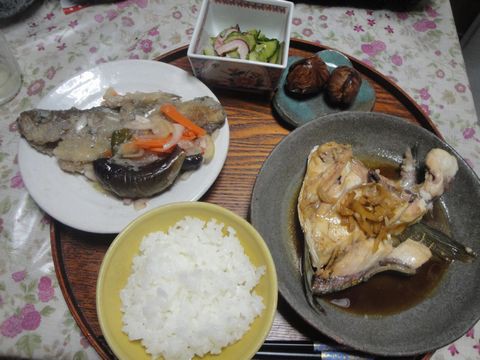月曜日の夕食に カンパチのあら煮 メバルの南蛮漬け 蛸と胡瓜の鱠 なます を頂きました 花と短歌と竹原と