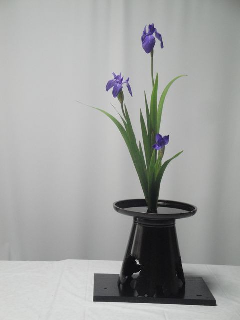 燕子花の一種生けを御玄猪に又木で活けました 花と短歌と竹原と