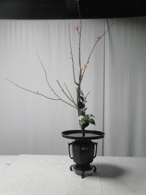 木瓜と椿の二種生を薄端（うすばた）に又木で活けました : 花と短歌と