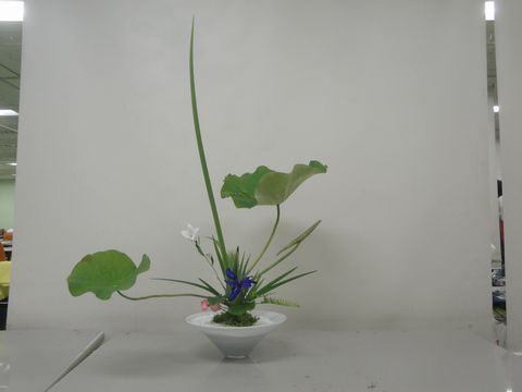 水草を主体とした一草物での砂物の蓮・燕子花・ひおうぎ・白キキョウ等の立花を活けました : 花と短歌と竹原と