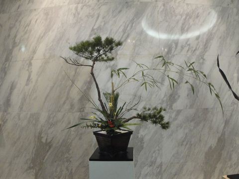 池坊冬期講習に行きミニ砂鉢の青翠の花器に松竹梅を活けました : 花と