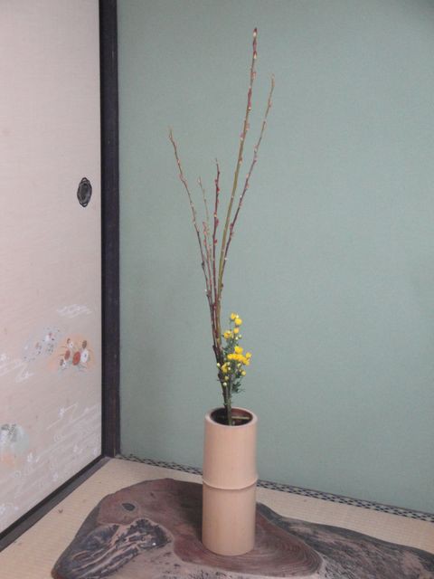 寸筒(すんどう・ずんど)の竹の花器に赤芽柳と小菊を活けました : 花 寸筒(すんどう・ずんど)の竹の花器に赤芽柳と小菊を活けました : 花