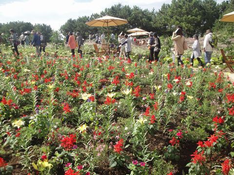 山口ゆめ花博に行きました 花と短歌と竹原と