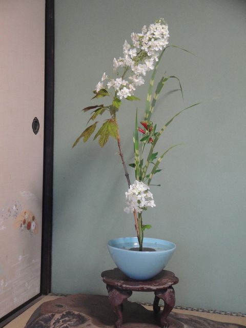 庭畑の紫陽花 矢筈萱 シペルス 薔薇を切り生花を活けました 花と短歌と竹原と