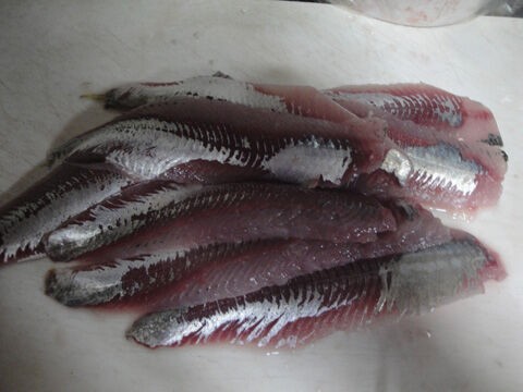 鮗 このしろ の魚を買って三枚におろして刺身を作りました 花と短歌と竹原と