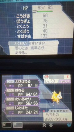 ポケモンbw 色孵化乱数に挑戦してみた 変態次元へようこそ 遊戯王の変態構築を紹介するブログ