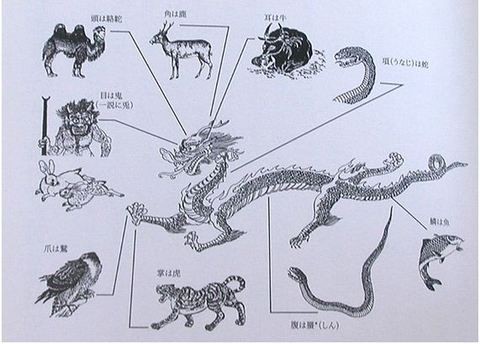 西洋の ドラゴン と東洋の 龍 の違いを考える タコタ屋タコタ