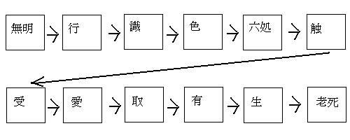 仏教の因果論をまとめてみた 縁起 因縁起生 空 徒然話