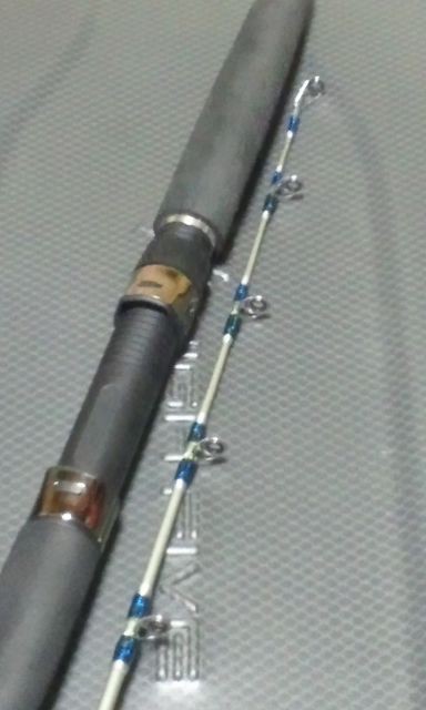 ビシアジ竿購入 日々の出来事を