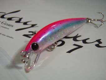 ミノーイング : 日々釣れ連れ～レオン加来