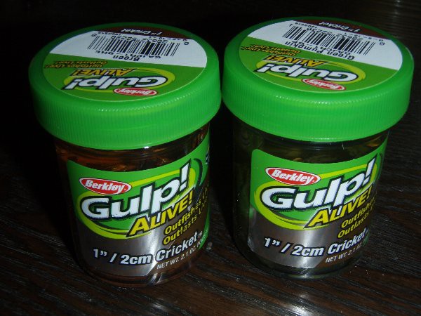 ガルプ　クリケット Gulp! SW Cricket 1inch (ガルプ! クリケット 1インチ) 商品詳細