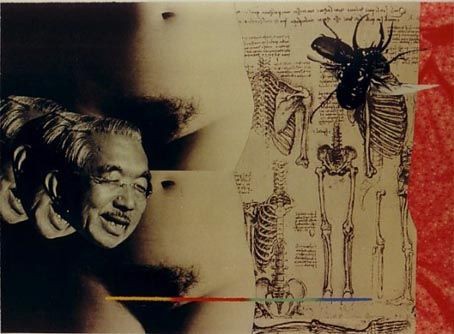 NORITOSHI HIRAKAWA 平川典俊 「木漏れ日の向うに」2 : 写真の鉛筆 THE