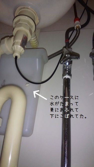 緊急事態発生 洗面台の水漏れ 猫３匹と時々ハンドメイド