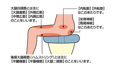 痩せてお尻が痛い人にお医者さんが作った低反発の円座クッション 痩せて座るとお尻の骨が痛い人向けのクッション通販