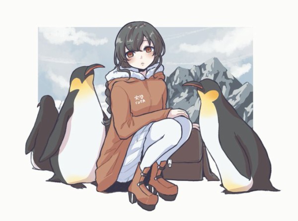 艦これ ペンギンとお友達な宗谷 他なごみネタ 艦これ速報 艦隊これくしょんまとめ