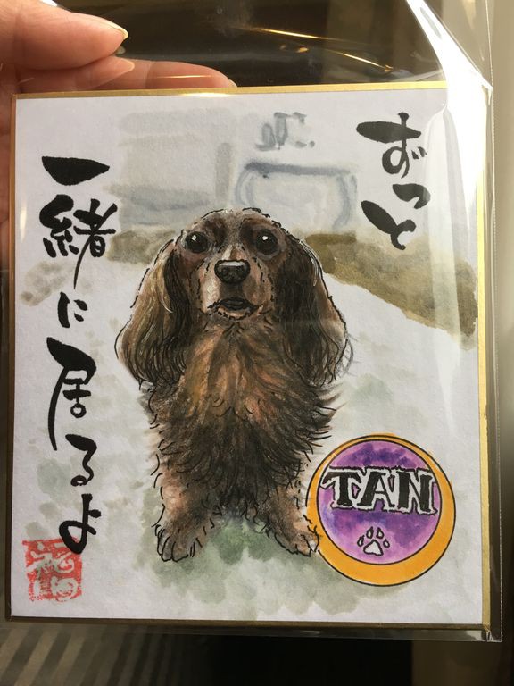 福ふくまねきやさん Tan君 見っけ