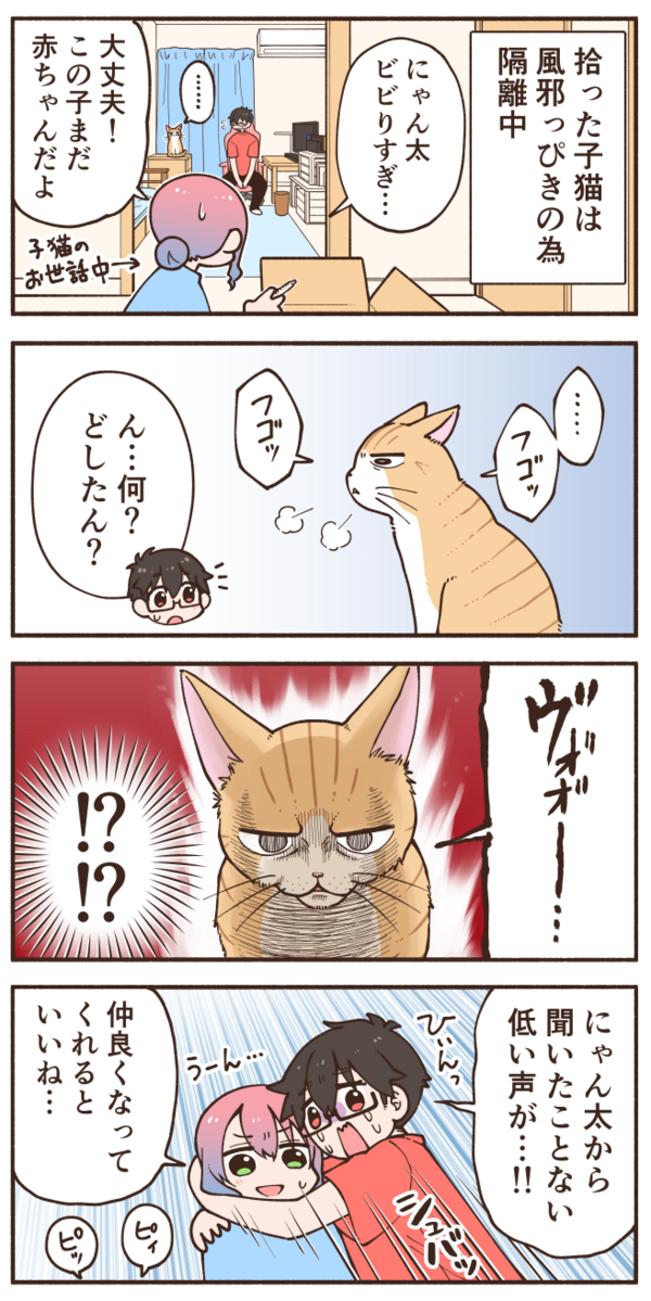 新猫の気配にビビりまくる先住猫 このちゃん 田中ポ子とゆかいな仲間たち 新猫の気配にビビりまくる先住猫 このちゃん 田中ポ子とゆかいな仲間たち