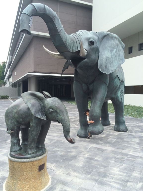 象の像 : アラフィフ爺（旧アラフォーオヤジ）のなにわ日記