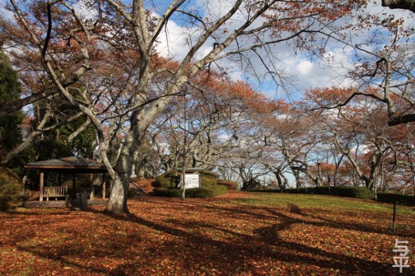 利府町 館山公園の紅葉 仙台人が仙台観光をしているブログ