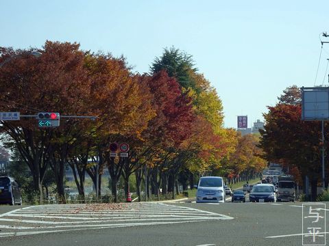 紅葉 根岸の宮沢橋交差点 仙台人が仙台観光をしているブログ 紅葉 根岸の宮沢橋交差点 仙台人が仙台観光をしているブログ