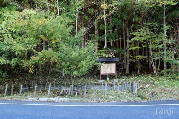 花山の 一本楢 宮城県栗原市 仙台人が仙台観光をしているブログ