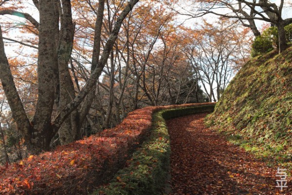 利府町 館山公園の紅葉 仙台人が仙台観光をしているブログ