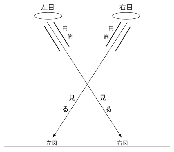 ステレオグラムをつかって立体視をする 交差法 1 発想法 情報処理と問題解決