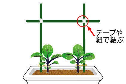 所要時間3分程度でカンタン 茄子 なす の支柱立て プランター菜園をやってみよう 会社の屋上 で 収穫を目指す 会社員の熱き戦い