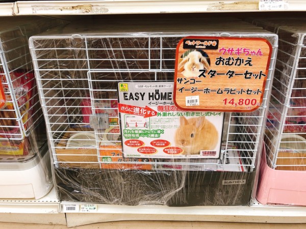 ウサギの初期費用 ウサギを買った時のレシートは こんな感じ のんびり楽しく貯金 Powered By ライブドアブログ