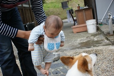 赤ちゃんと ボク 嗚呼 短足動物園 Powered By ライブドアブログ