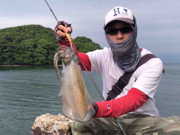 大村湾エギングでミズイカを釣る たんたんた ん 長崎でルアー釣り