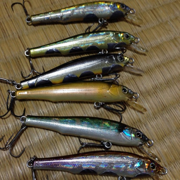 メガバスのx 70を海で使う たんたんた ん 長崎でルアー釣り