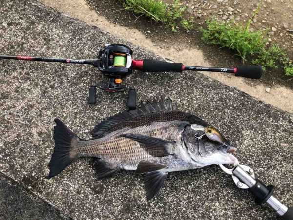 大村湾でチヌ釣り メガバスのグリフォンでチヌ たんたんた ん 長崎でルアー釣り