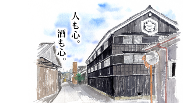 亀田和毅の試合を契機に 亀田 の功罪を総括する 彼らは間違っていたのか 亀甲縛りの フシ穴の眼 スポーツ疾風怒濤編