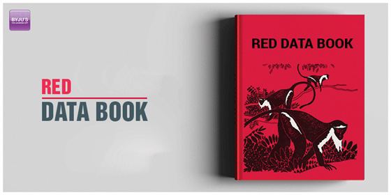 THE RED DATA VINTAGE 絶滅が危惧されるヴィンテージたち。 中古・古着通販】RED WING (レッドウィング) アイリッシュセッター