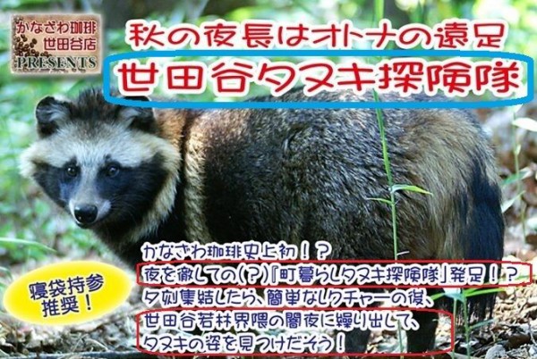 里中動物探検隊 と世田谷ﾀﾇｷ探し ｳｽﾞｯ その1 ﾀﾇｷｳｫｰｶｰｽﾞ野生動物探索日記