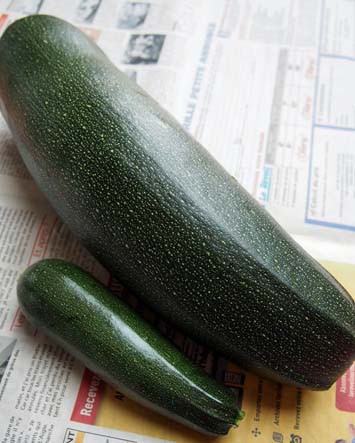 Farcousとうっかりズッキーニ 異邦人の食卓