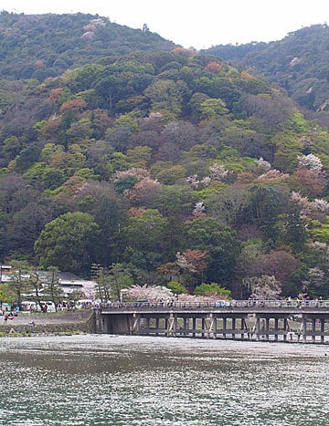 15年春 嵐山 先斗町ご飯 異邦人の食卓