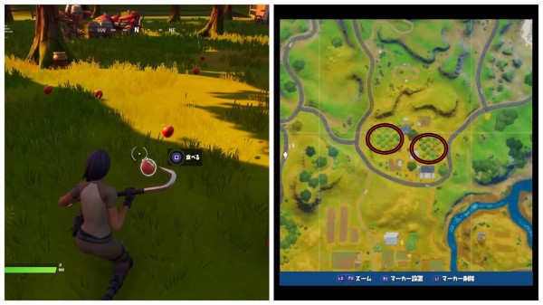 Fortnite 採取アイテムの場所 S2 チャプター2 ゲームいろいろ 人生いろいろ フォートナイト マイクラetc Fortnite 採取アイテムの場所 S2 チャプター2 ゲームいろいろ 人生いろいろ フォートナイト マイクラetc